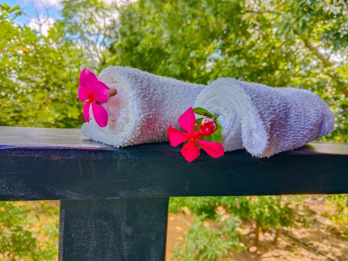 Ceylon Amigos Eco Resort Szigirija Kültér fotó