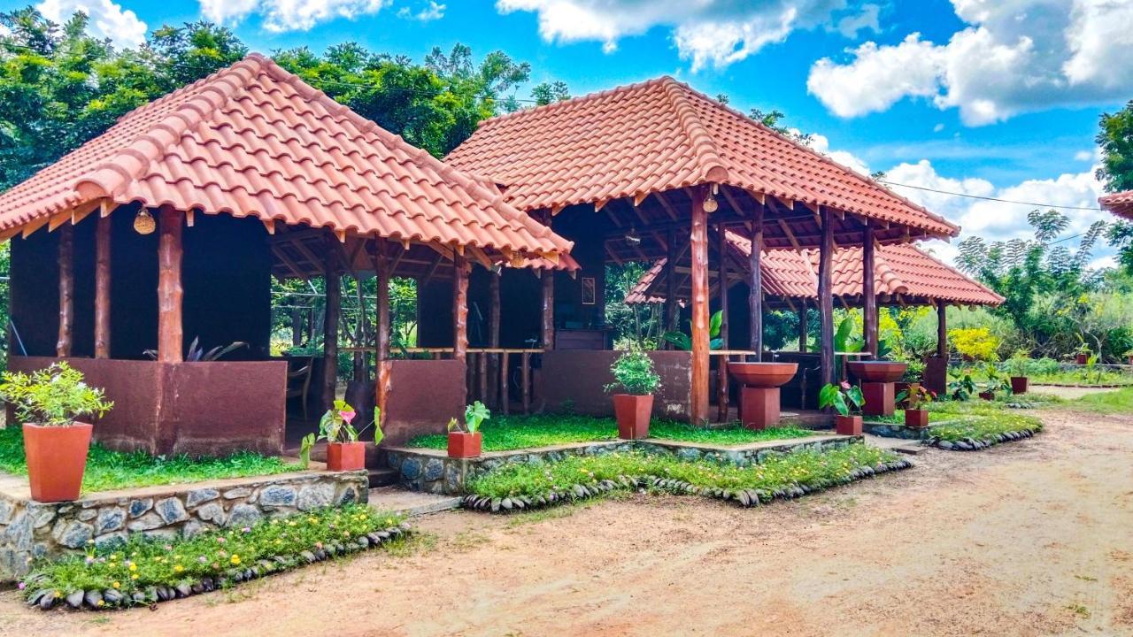 Ceylon Amigos Eco Resort Szigirija Kültér fotó