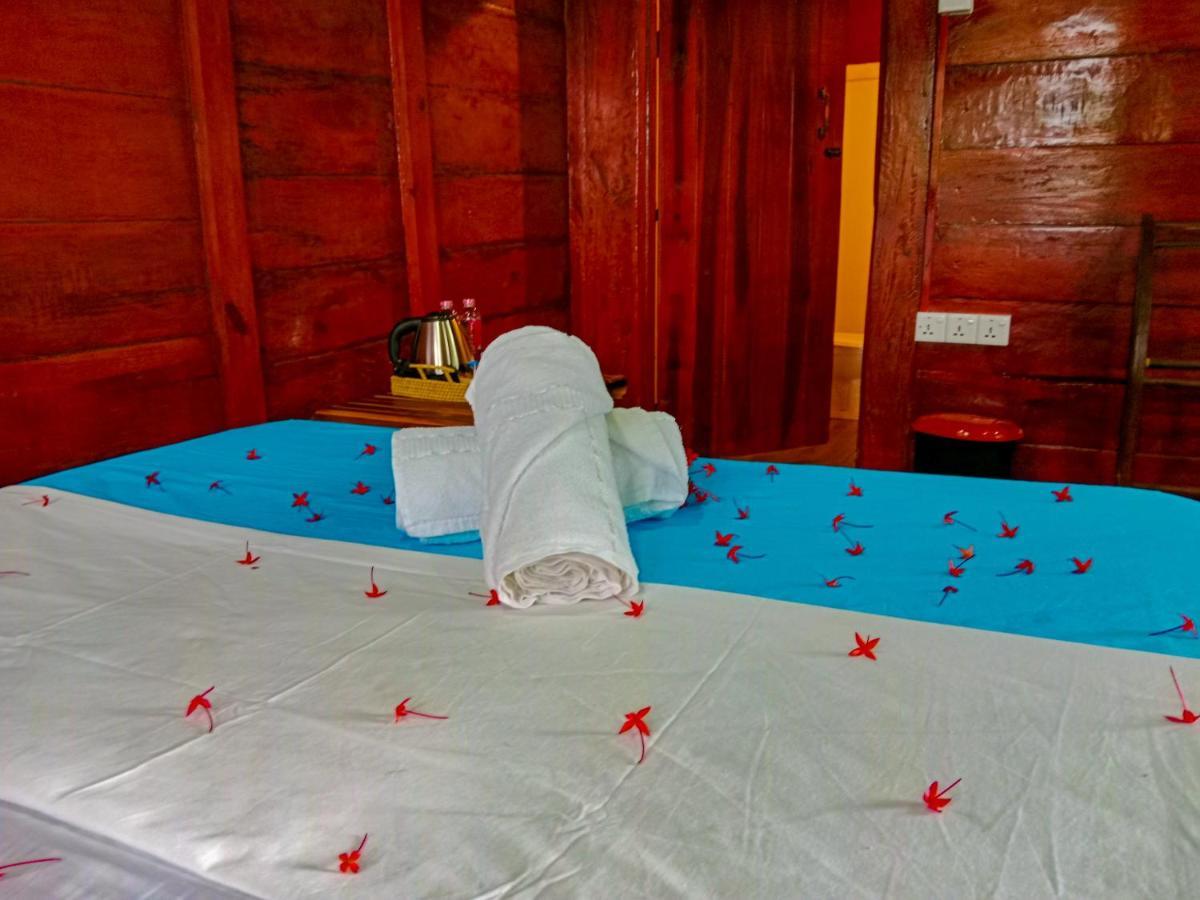 Ceylon Amigos Eco Resort Szigirija Kültér fotó