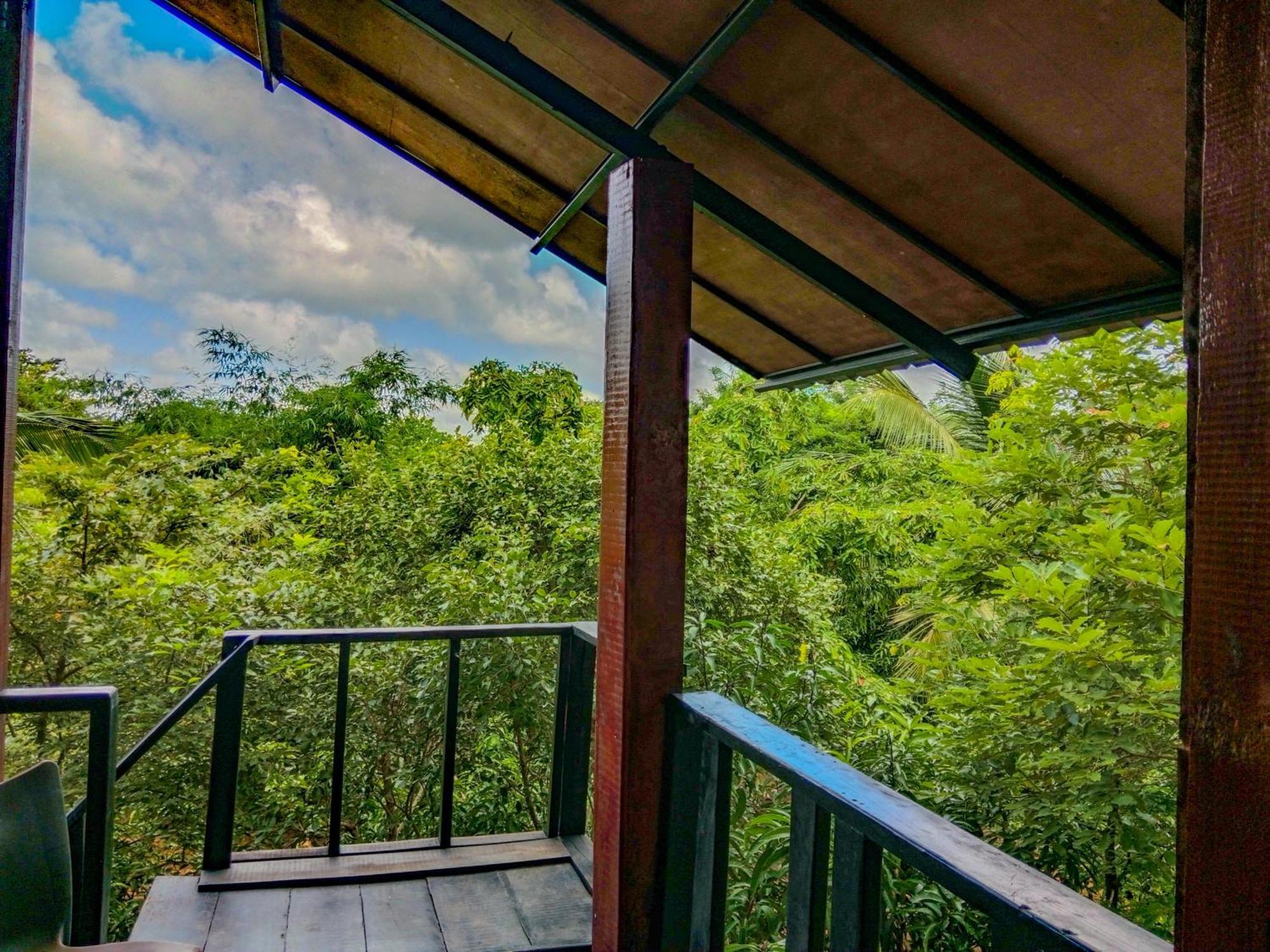 Ceylon Amigos Eco Resort Szigirija Kültér fotó