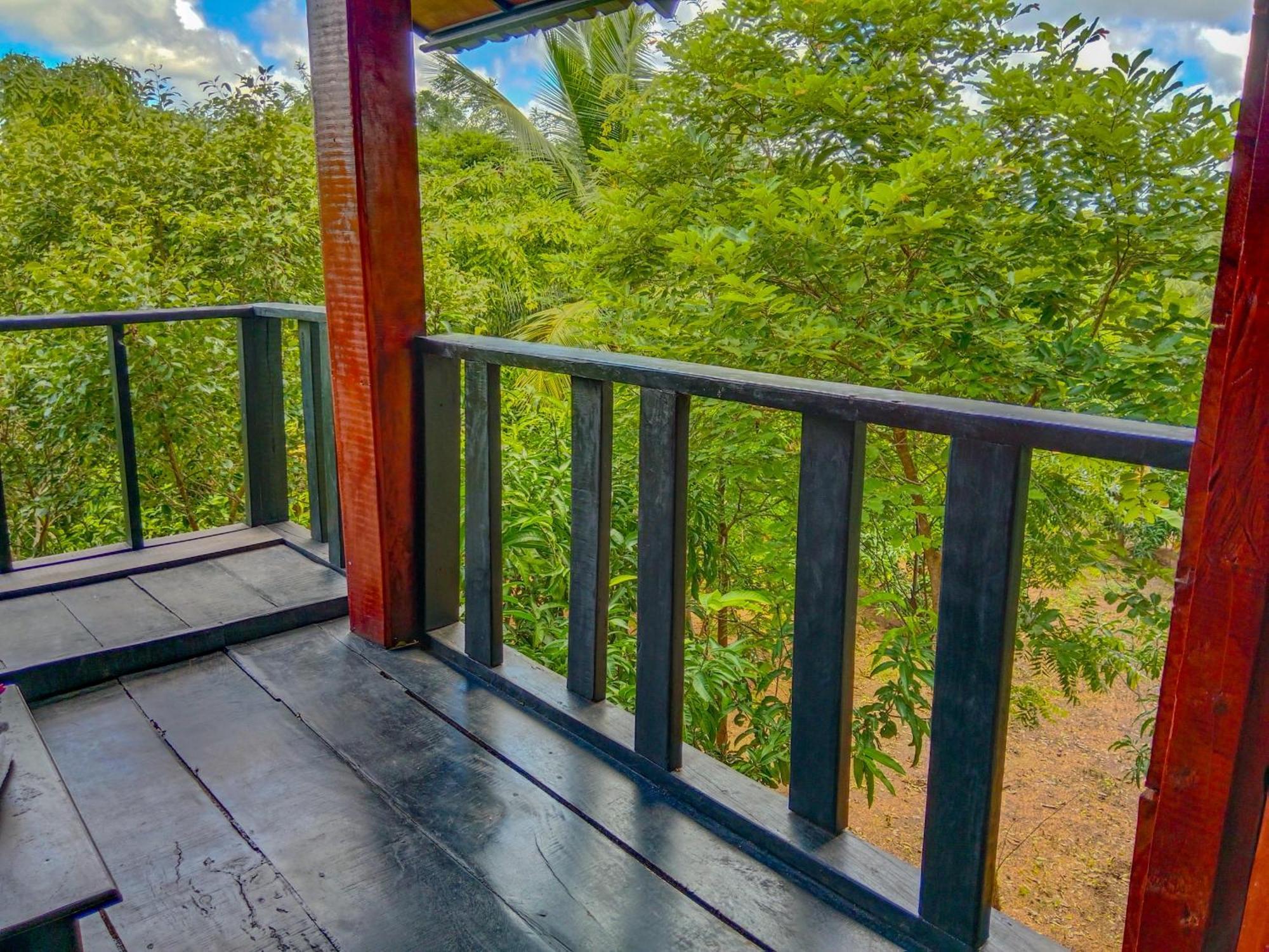 Ceylon Amigos Eco Resort Szigirija Kültér fotó