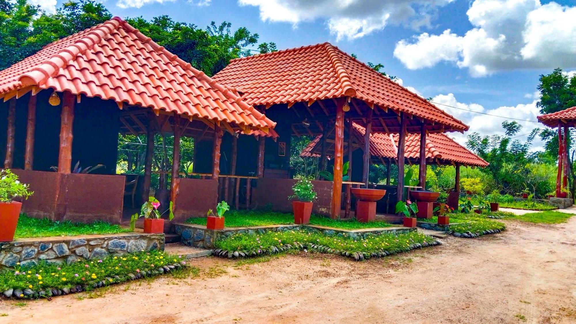 Ceylon Amigos Eco Resort Szigirija Kültér fotó