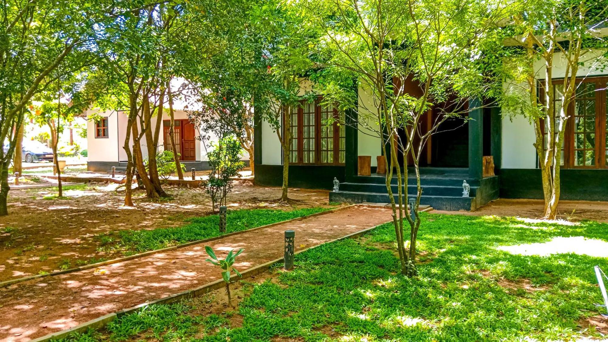 Ceylon Amigos Eco Resort Szigirija Kültér fotó