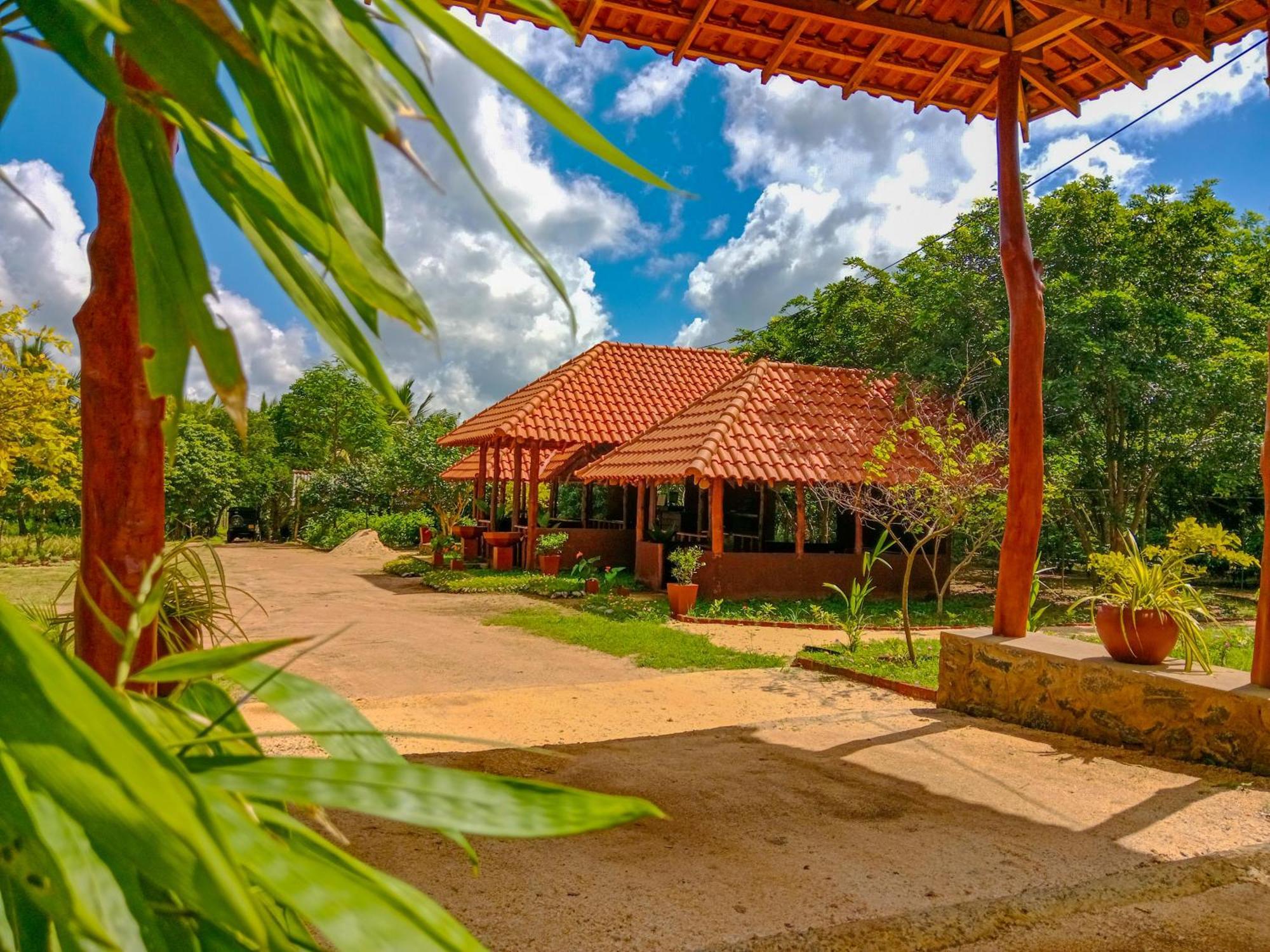 Ceylon Amigos Eco Resort Szigirija Kültér fotó