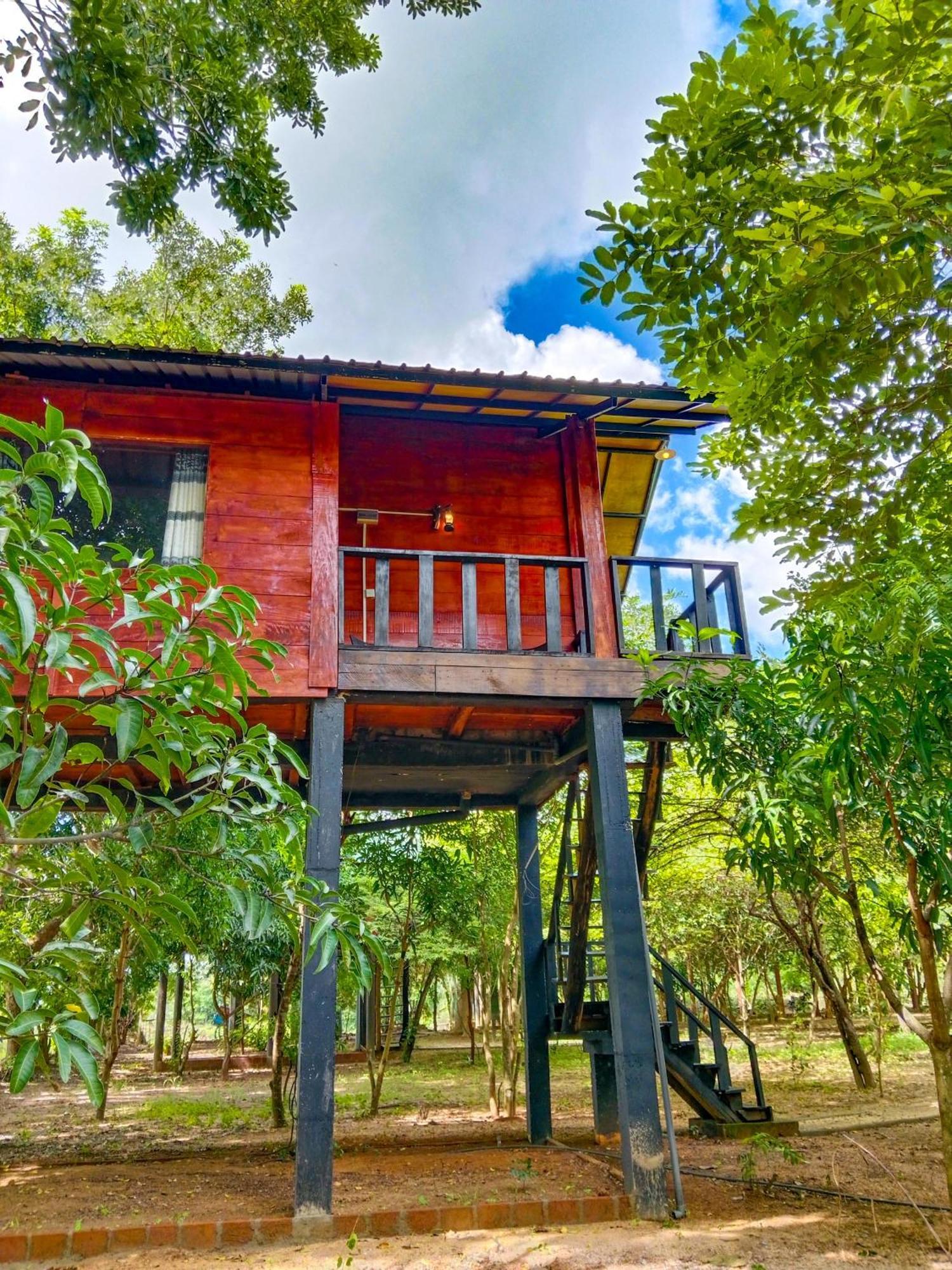 Ceylon Amigos Eco Resort Szigirija Kültér fotó
